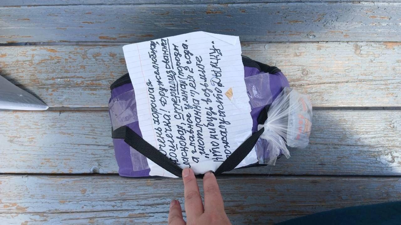 В Выгоничах на остановке оставили кошку. Вместе с животным была записка с просьбой «взять Дымку»