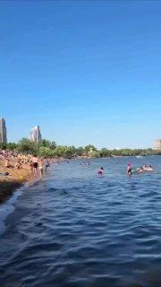 Вода в водоемах Москвы и Подмосковья сейчас теплее, чем на курортах Черного...
