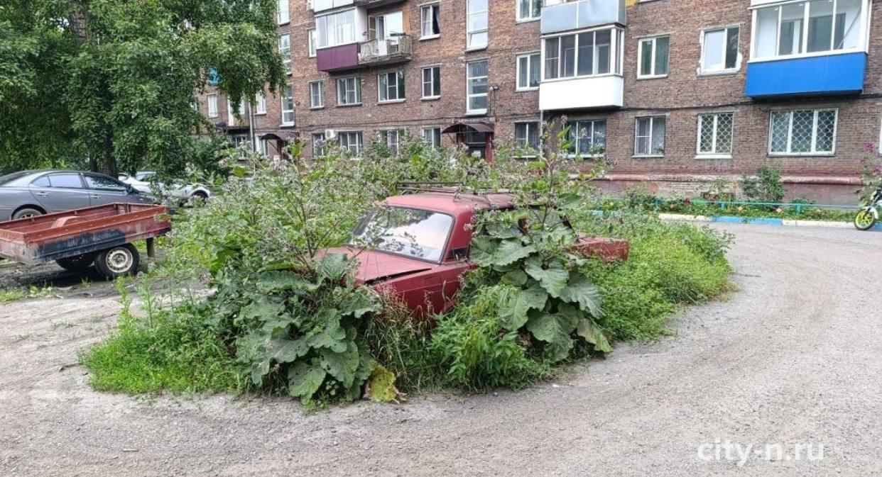 В Новокузнецке «жигули» заросли лопухами и превратились в зелёный «оазис» во...