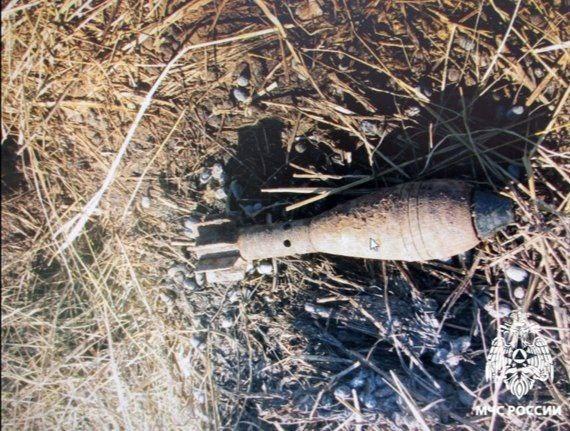 Под Брянском нашли пролежавшую 80 лет в земле миномётную мину