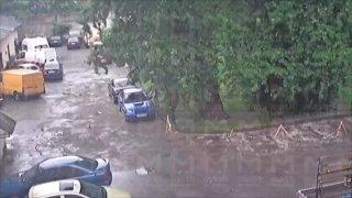Владелец Subaru Impreza перепарковал свою тачку буквально за минуту до падения огромного дерева.