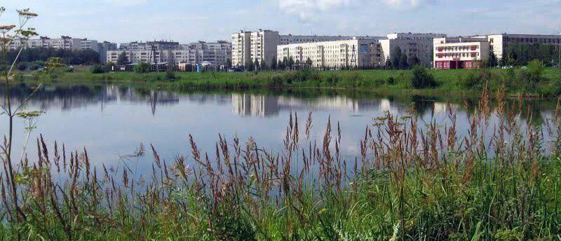 В Зеленогорске утонул мужчина на несанкционированном пляже Трагедия произошла...