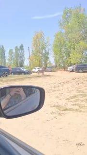 Мужчина жестоко избил ослика в Ростовской области