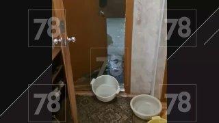 После ливня подъезд дома на проспекте Просвещения оказался под водой....