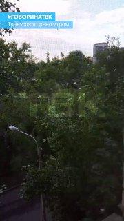 Траву начали косить рано утром