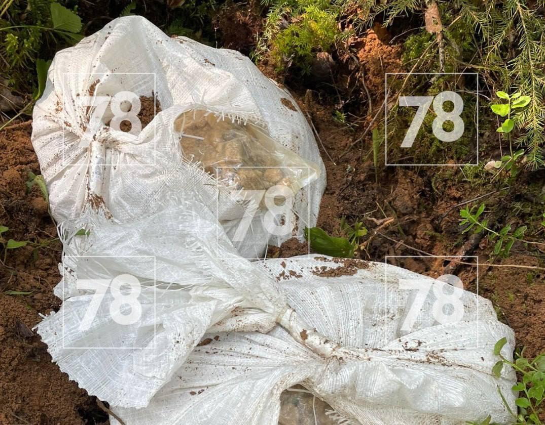 В лесу Ленобласти грибники нашли огромную 60-килограммовую закладку.