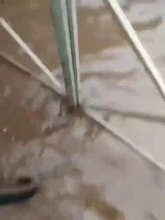 Из-за шквалистого ветра в Новокузнецке около 3 тысяч домов оказались без света
