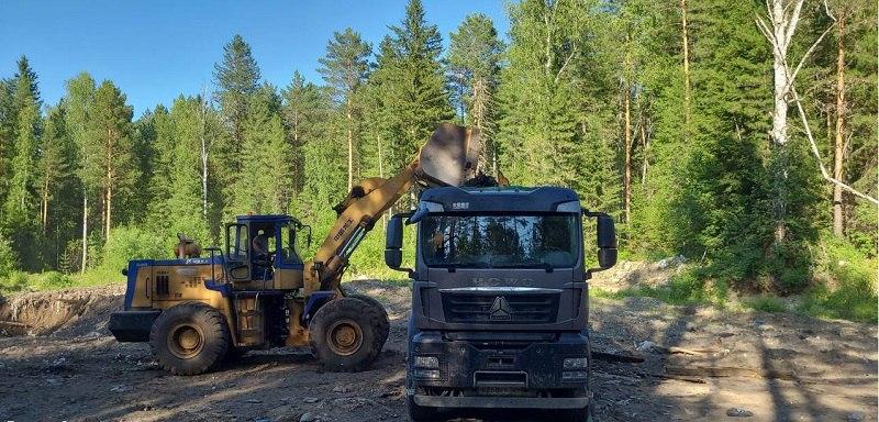 Три крупные свалки уберут в лесах края
