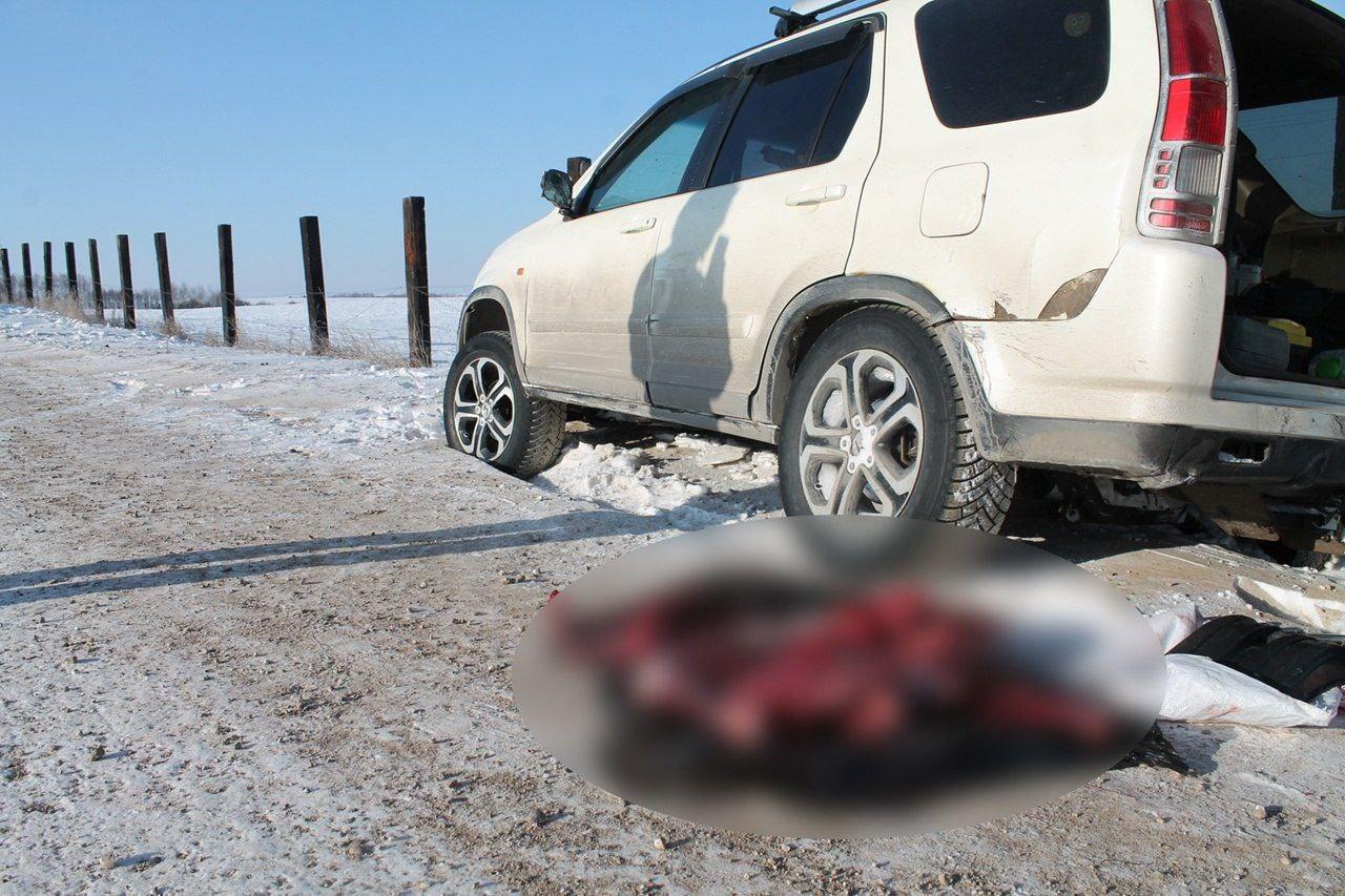 Браконьеры в Приангарье получили наказание за убийство косули В Приангарье...