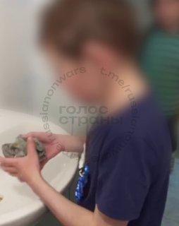 Подростки в детском лагере “Дружба” на камеру издевались над своими сверстниками и выкладывали это в открытый телеграм-канал