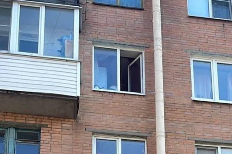 Восьмилетняя девочка выпала из окна в Шушарах и погибла Сегодня утром на...
