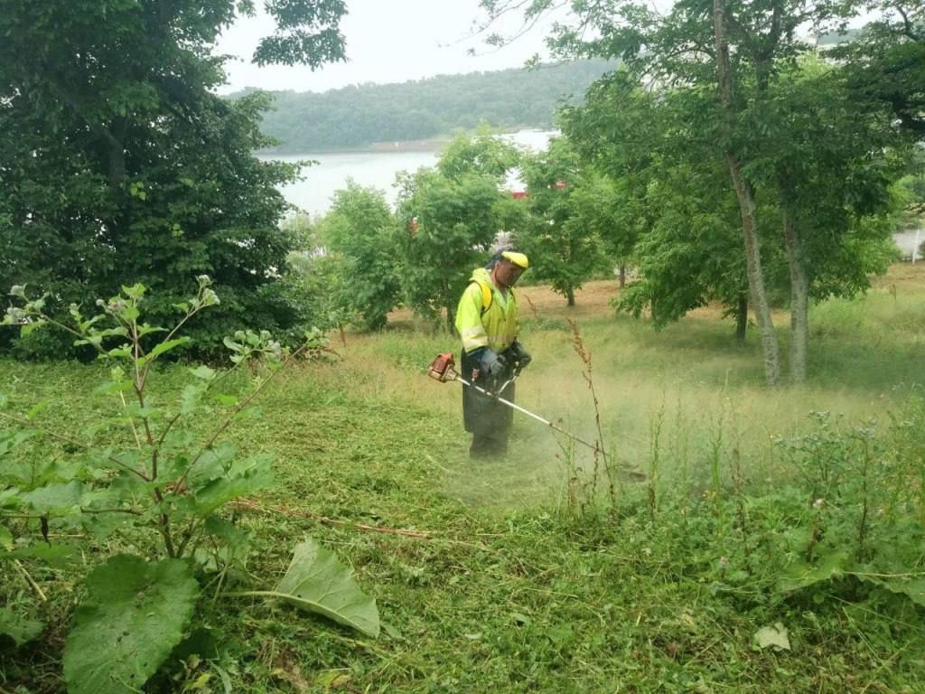 🌿🧹 Во Владивостоке вышли на охоту… на сорняки В парках, скверах и набережных...