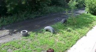 Стая бродячих псов набросилась на женщину в Омске и едва ее не растерзала