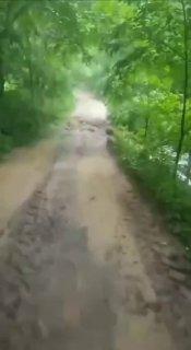 В Лужском районе Ленобласти до деревень Путятино и Павшино оказалась размыта...
