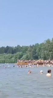 Четыре человека погибли на пляжах Подмосковья за прошедшие сутки.