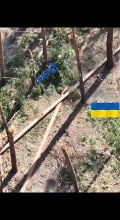 Русский боец голыми руками поймал вражеский дрон и разбил его об сосну