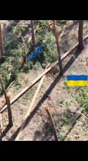 В окоп бойцу ВС РФ залетел вражеский FPV дрон, но почему-то не сдетонировал — после этого солдат взял его и принялся избивать об дерево