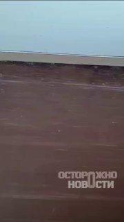 Пассажиры поезда Новороссийск-Екатеринбург пожаловались на полную антисанитарию — переполненные мусорки, грязные туалеты и неработающие кондиционеры.