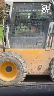 В столице заметили мини-погрузчиков, которые решили поиграть в драгрейсинг. Водители устроили небольшое шоу для девушек — и укатили в закат.