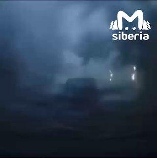 Гнилое дело рухнуло на машину и голову новосибирца. Теперь на битом авто...