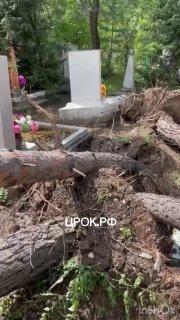 После ураганного ветра старое кладбище  №3 на Нижней Согре выглядит так.