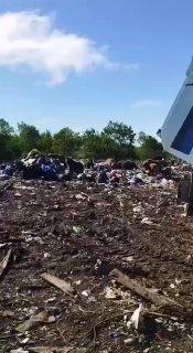 На камчатских свалках стали замечать медведей. Мишки толпами приходят туда за...