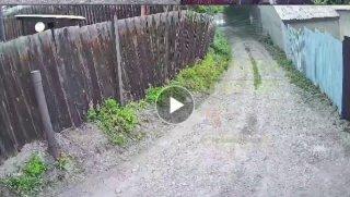 Мальчику на велосипеде очень повезло. Второй Иркутск, частный сектор. 🇷🇺...