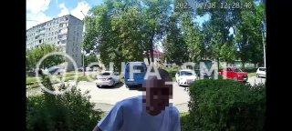 Мужчина жестоко убил кота блогерши из Уфы