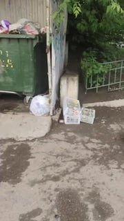 Рассадник крыс рядом с домом №1 на Пролетарской. И эта парочка на видео ещё...