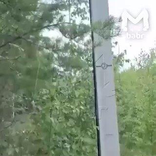 Пошёл за грибами, а нашёл… асики, или Обычные будни Иркутской области.
