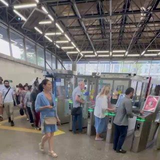 Невиданный зверь пытался одолеть турникеты метро на 