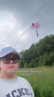 В интернете нашли рабочий способ отпугивать от себя комаров: нужно повесить на себя игрушечную стрекозу