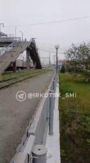 Лося заметили на вокзале в Усть-Куте