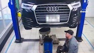 Этот кот из Владивостока бывает в автосервисе чаще, чем многие автовладельцы — его регулярно находят под капотами разных машин в сети СТО.