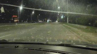 В области в этом году много, очень много мотыльков