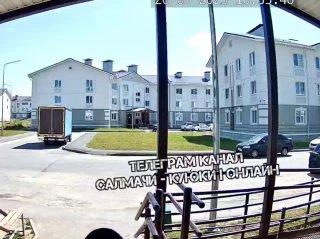 В Казани ребенок выбросил кота с лестницы Инцидент попал на видео. Отпрыск...