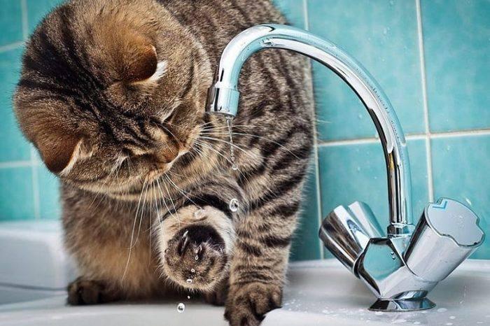 В Екатеринбурге начнется отключение горячей воды на ЖБИ и в Березовском