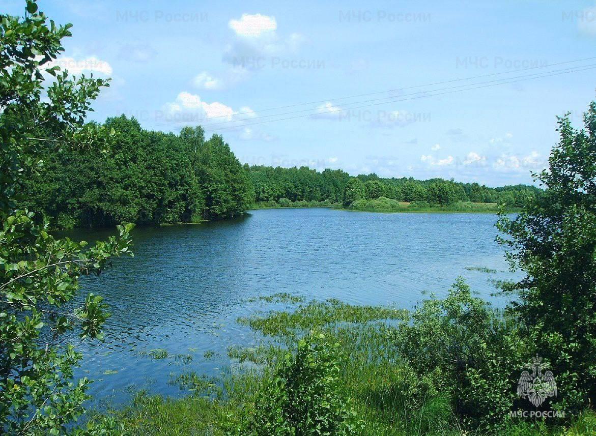 В Почепском районе в местном водоеме утонул рыбак