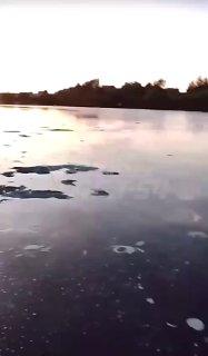 В озере на Юго-Западном заметили неизвестные отходы, от которых вода...