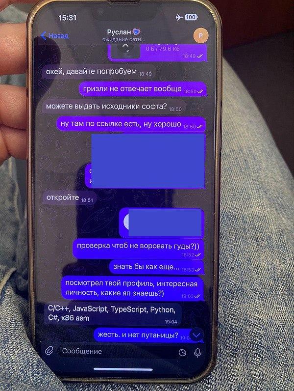 Силовики задержали в Бердске юного программиста, он продавал хакерам программы для кражи информации и денег