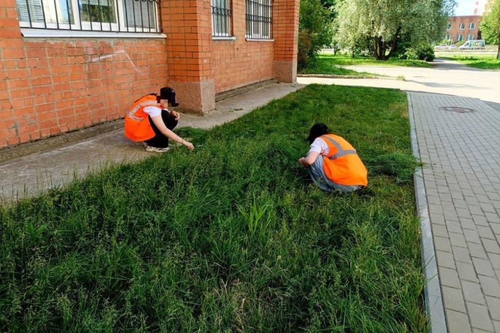Школьников заставили стричь газон канцелярскими ножницами в Ярославской области