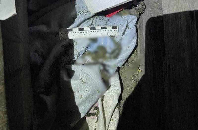 В Туве полиция задержала четырех человек за хранение наркотиков