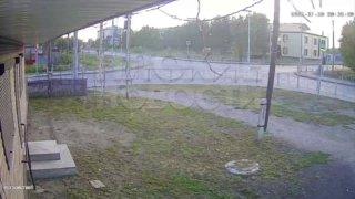 В Алтайском крае авантюрные парни на огромной скорости пытались проскочить перед фурой на 