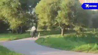 Мужчину с гусем на поводке заметили в Купчино