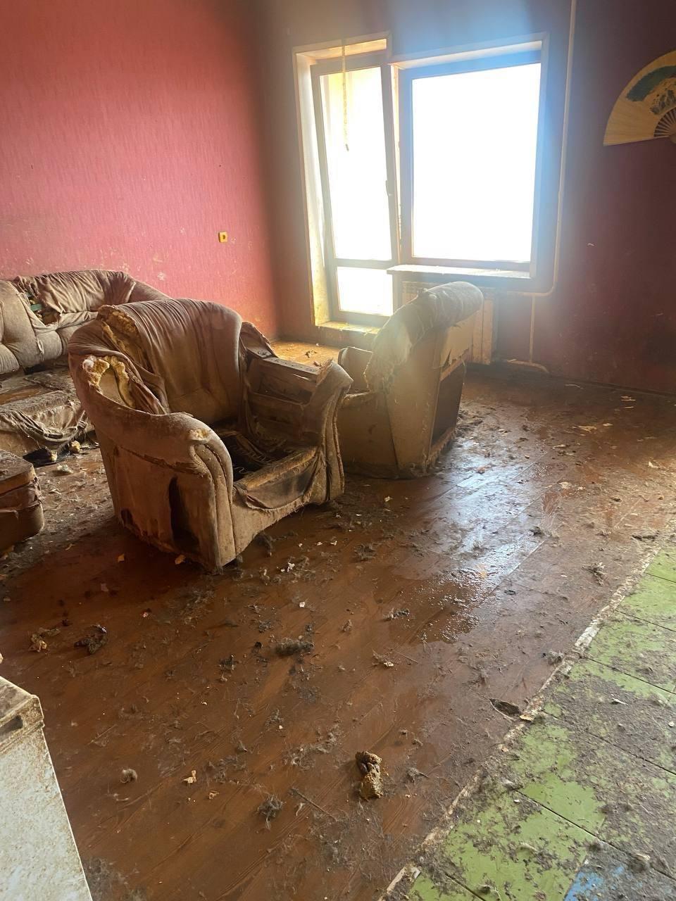 ⚡️Собаки почти три года содержались в двухкомнатной и трёхкомнатной...