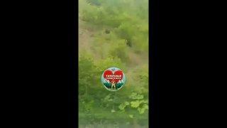 Смелый кузбассовец прогнал медведей из города