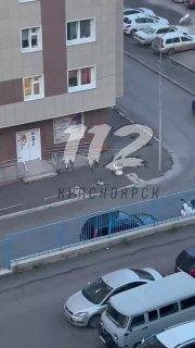 «Урод! Он просто её в наглую вот так выкинул!». Как сообщают очевидцы, на...