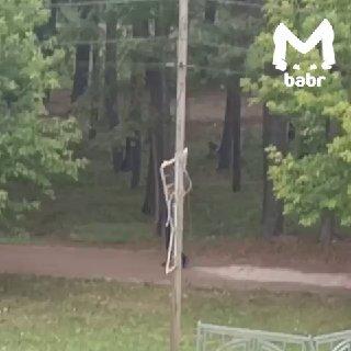 Хулиганы разобрали тротуарную плитку в Ангарске. Просто ради забавы. Мэны...