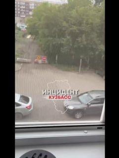 В Кемерове возле детсада «Золотой ключик» стая собак терроризирует жителей – Бастрыкин поручил возбудить дело