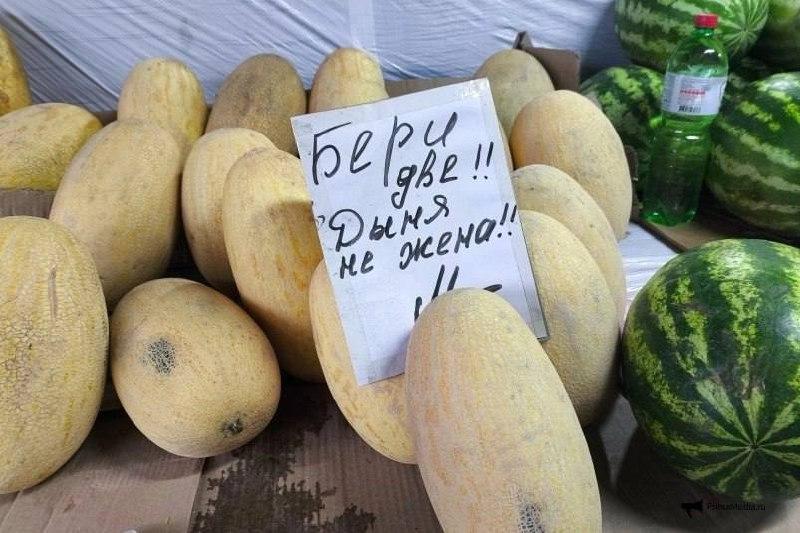 🍉🍈 Во Владивостоке снизились цены на бахчевые культуры